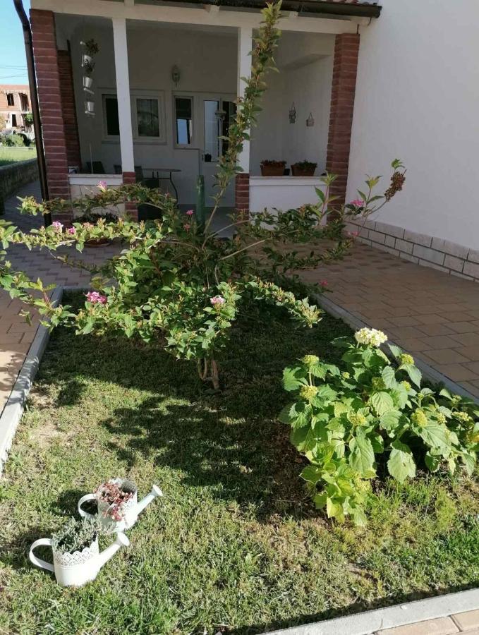 Apartmani B&S Barbat na Rabu Zewnętrze zdjęcie