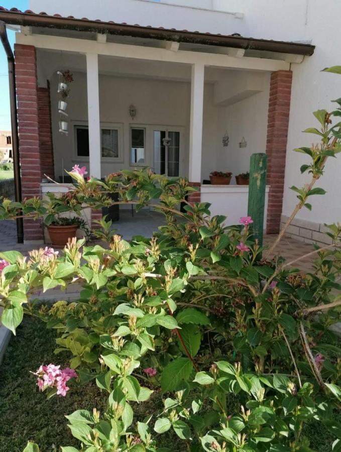Apartmani B&S Barbat na Rabu Zewnętrze zdjęcie